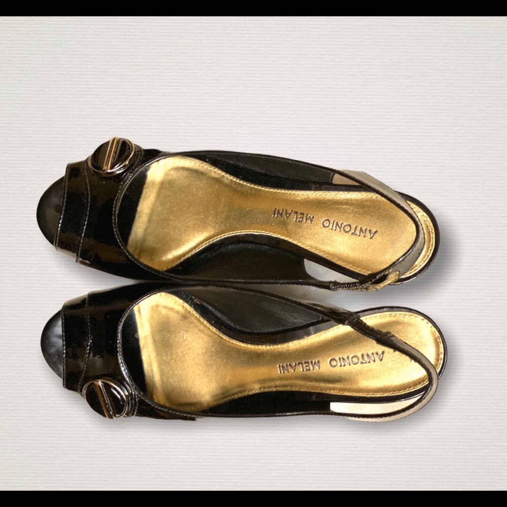 Antonio Melani Sandles